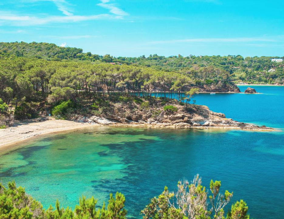 Una caletta dell’Elba con acqua trasparente e pini lungo la costa