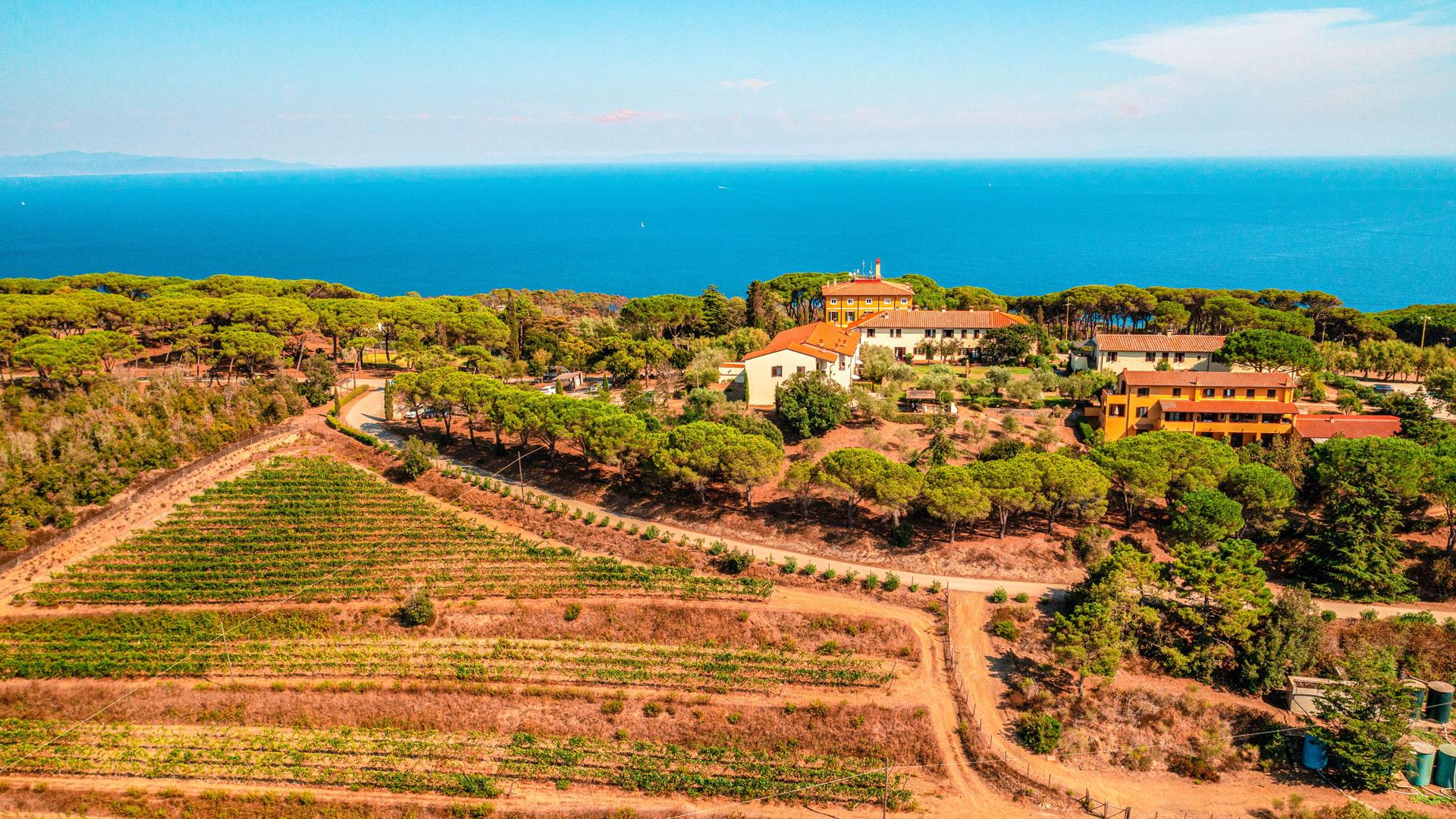 La tenuta vista dall’alto, circondata da vigneti, pini e mare