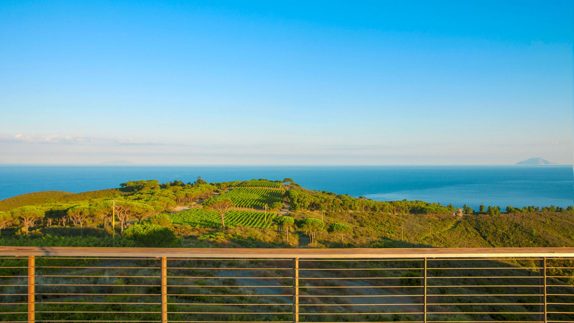 La vista sui vigneti e sul mare dalla Tenuta delle Ripalte